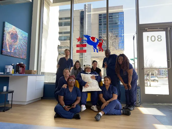 District Veterinary Hospital - Navy Yard Picture 5