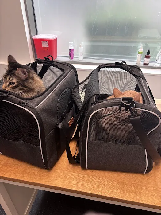District Veterinary Hospital - Navy Yard Picture 8
