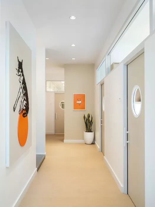 Small Door Veterinary - Navy Yard Picture 8