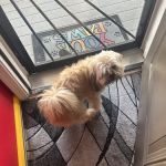 Union Veterinary Clinic