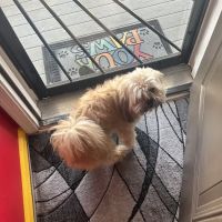 Union Veterinary Clinic ico