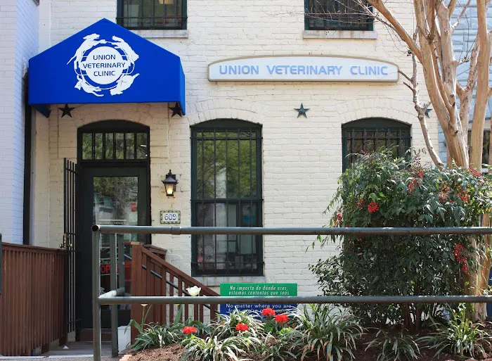 Union Veterinary Clinic Picture 4