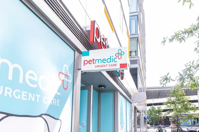 PetMedic Urgent Care and Veterinary Clinic - Navy Yard Picture 7
