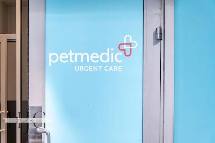 PetMedic Urgent Care and Veterinary Clinic - Navy Yard Picture 6