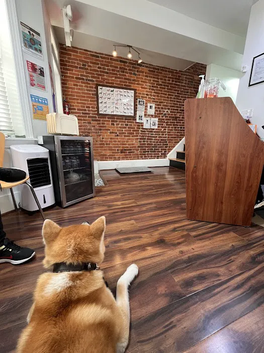 P Street Pet Practice Picture 4
