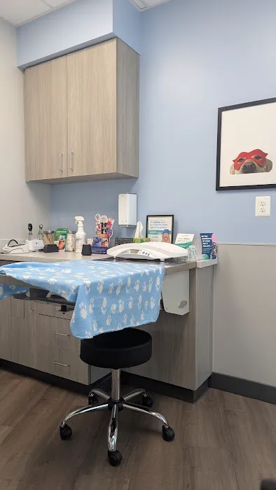 Livewell Animal Hospital of Shaw Picture 1