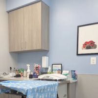Livewell Animal Hospital of Shaw ico