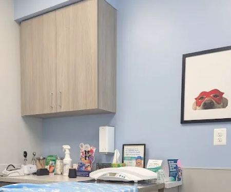 Livewell Animal Hospital of Shaw