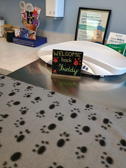Livewell Animal Hospital of Shaw Picture 4