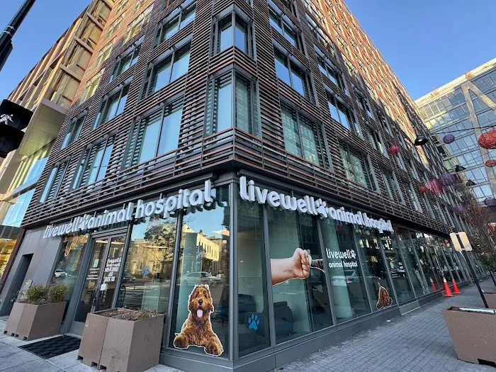 Livewell Animal Hospital of Shaw Picture 9