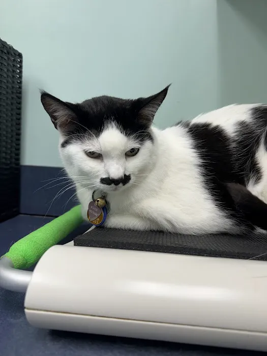 Atlantic Animal Hospital Picture 5