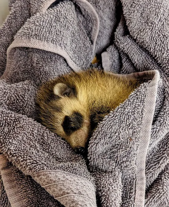 Eastern Shore Animal Hospital Picture 3