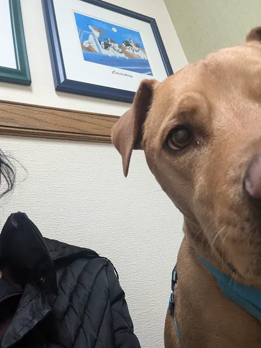 Eastern Shore Animal Hospital Picture 6