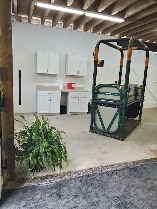 Abington Equine Hospital Picture 8