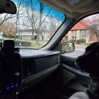 Cresskill Animal Hospital ico