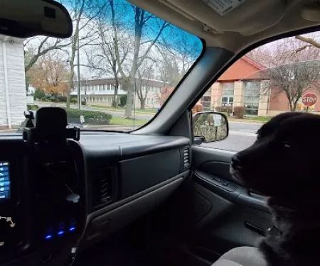 Cresskill Animal Hospital