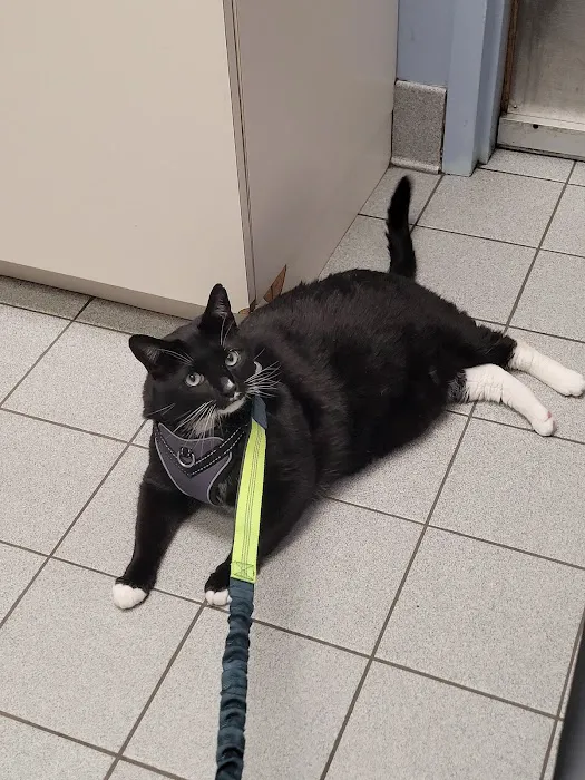 Cresskill Animal Hospital Picture 3