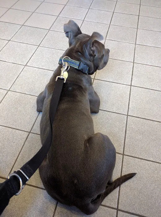 Cresskill Animal Hospital Picture 9