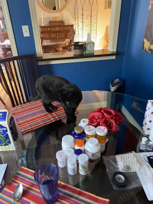 Natural Vet for Pets P.C. Picture 10
