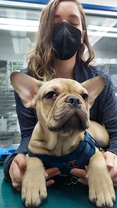 Riverside Animal Hospital North Picture 10