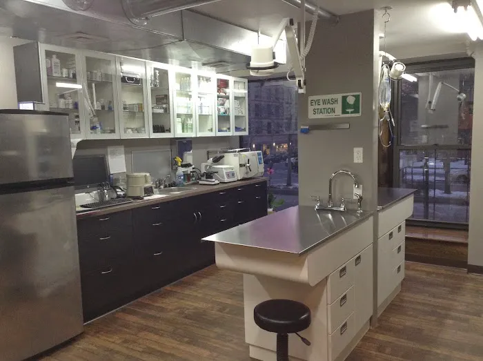 Heart of Harlem Veterinary Clinic Picture 10