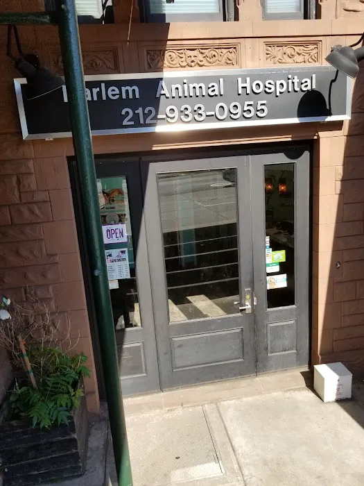 Harlem Animal Hospital Picture 3