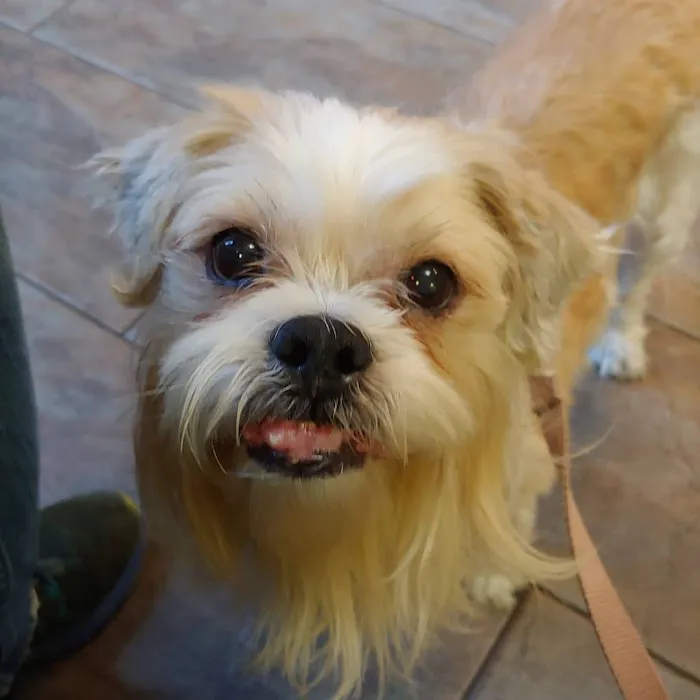 Harlem Animal Hospital Picture 8