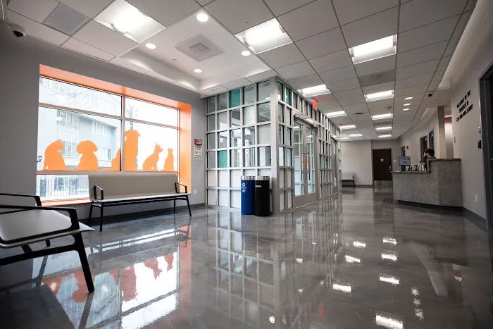 ASPCA Community Veterinary Clinic (Appointment Only) Picture 3