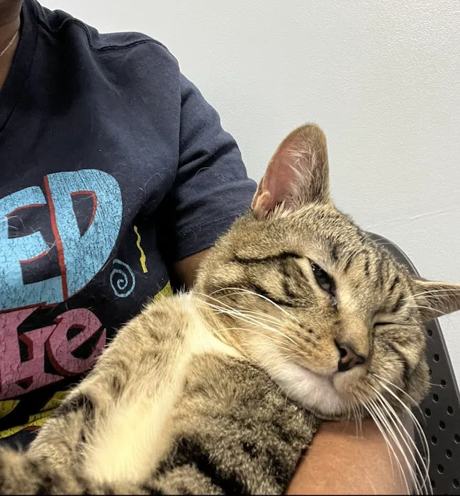 ASPCA Community Veterinary Clinic (Appointment Only) Picture 2
