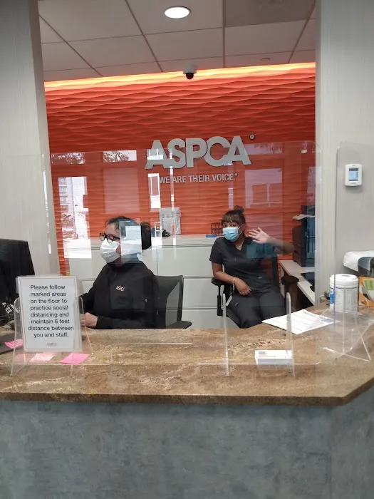 ASPCA Community Veterinary Clinic (Appointment Only) Picture 7