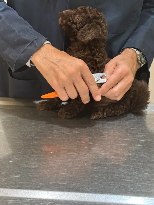 Fordham Veterinary Clinic Picture 3