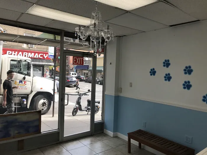 Fordham Veterinary Clinic Picture 9