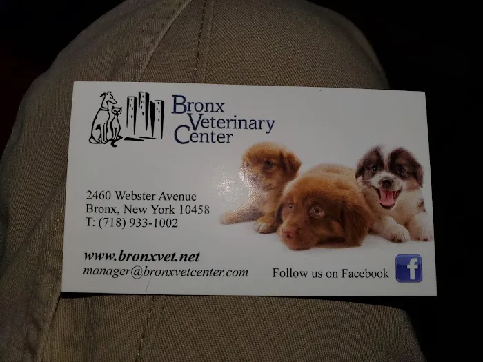 Grand Concourse Animal Hospital Picture 2