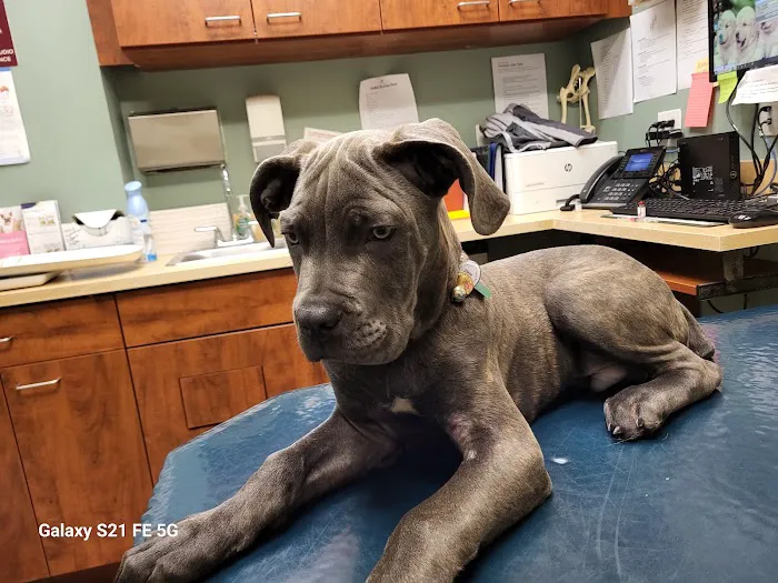 Bronx Veterinary Center Picture 4