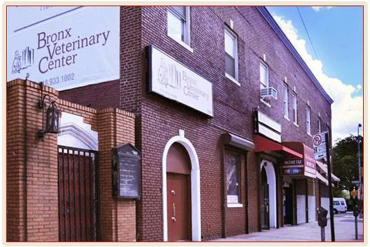 Bronx Veterinary Center Picture 10