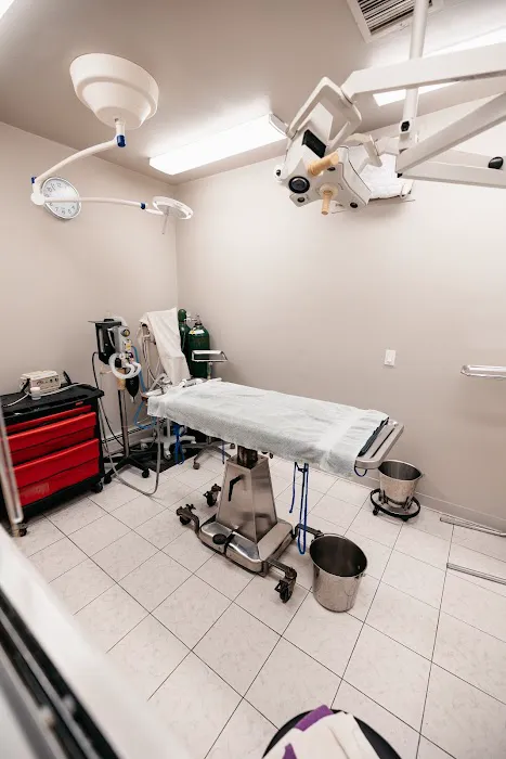 Armory Dog & Cat Hospital Picture 6