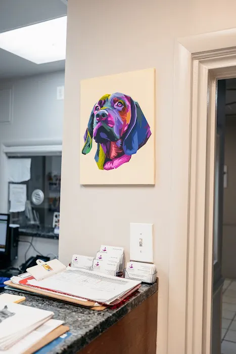 Armory Dog & Cat Hospital Picture 7