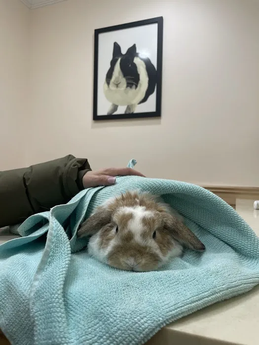 Symphony Veterinary Center Picture 1