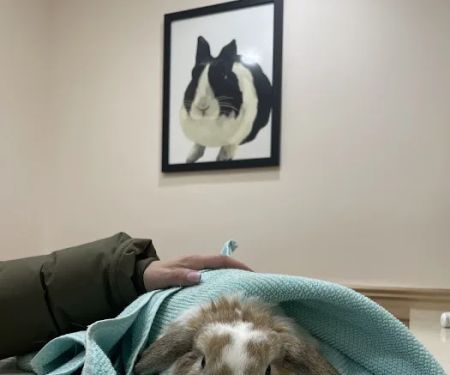 Symphony Veterinary Center