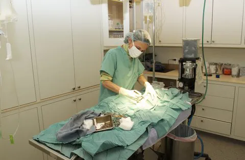 Symphony Veterinary Center Picture 3