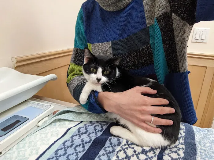 Symphony Veterinary Center Picture 7