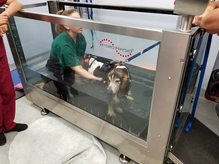 CANINE REHAB of NEW YORK Picture 1
