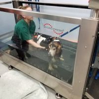 CANINE REHAB of NEW YORK ico