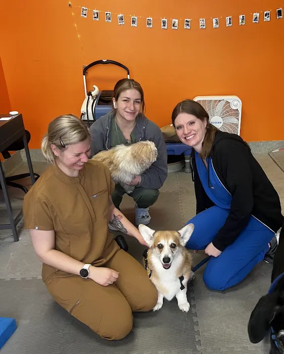 CANINE REHAB of NEW YORK Picture 2