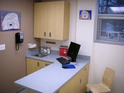 Gotham Veterinary Center Picture 4
