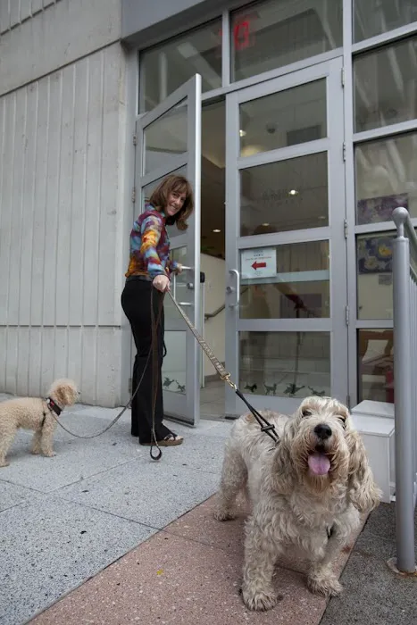Gotham Veterinary Center Picture 6