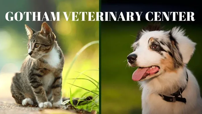 Gotham Veterinary Center Picture 10