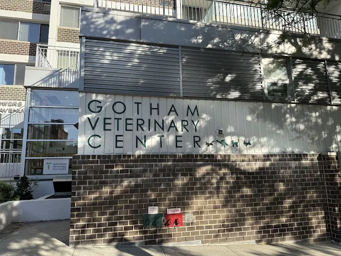 Gotham Veterinary Center Picture 7