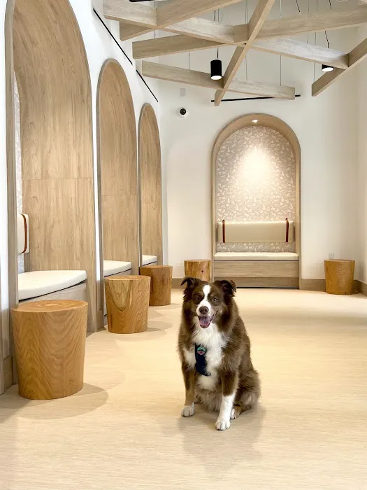 Small Door Veterinary - Upper West Side Picture 5