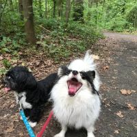 Broadway Animal Hospital of Riverdale ico